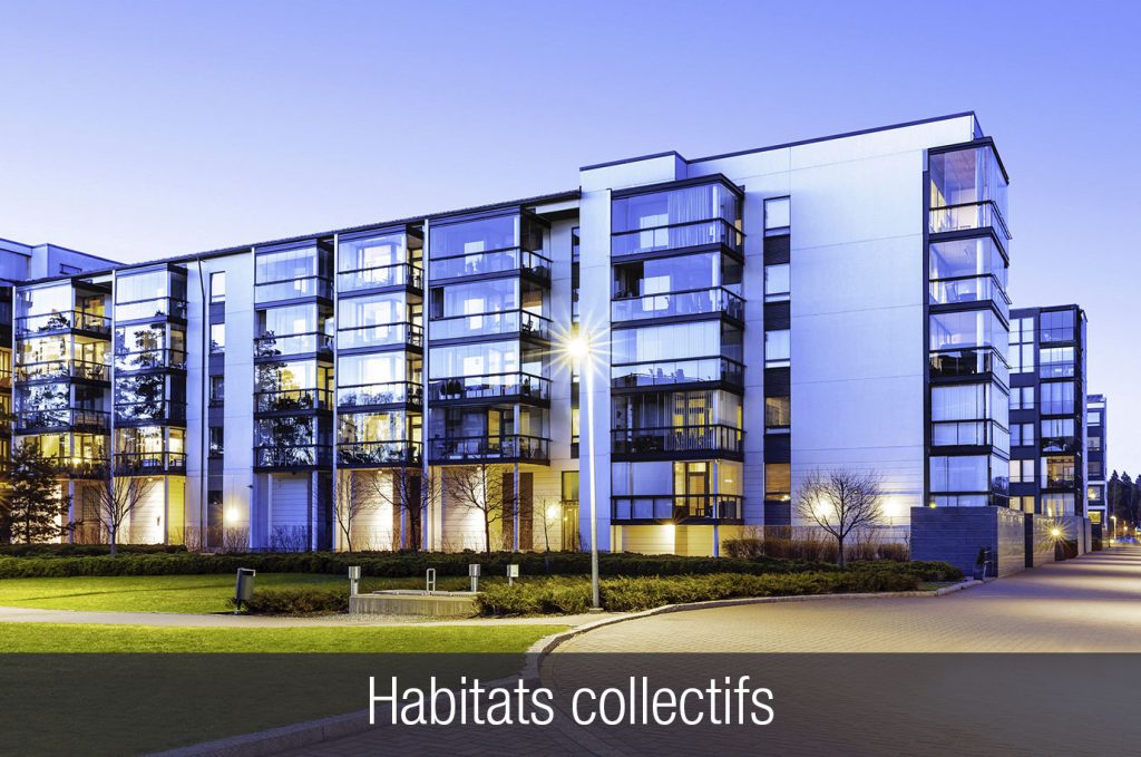Habitats collectifs